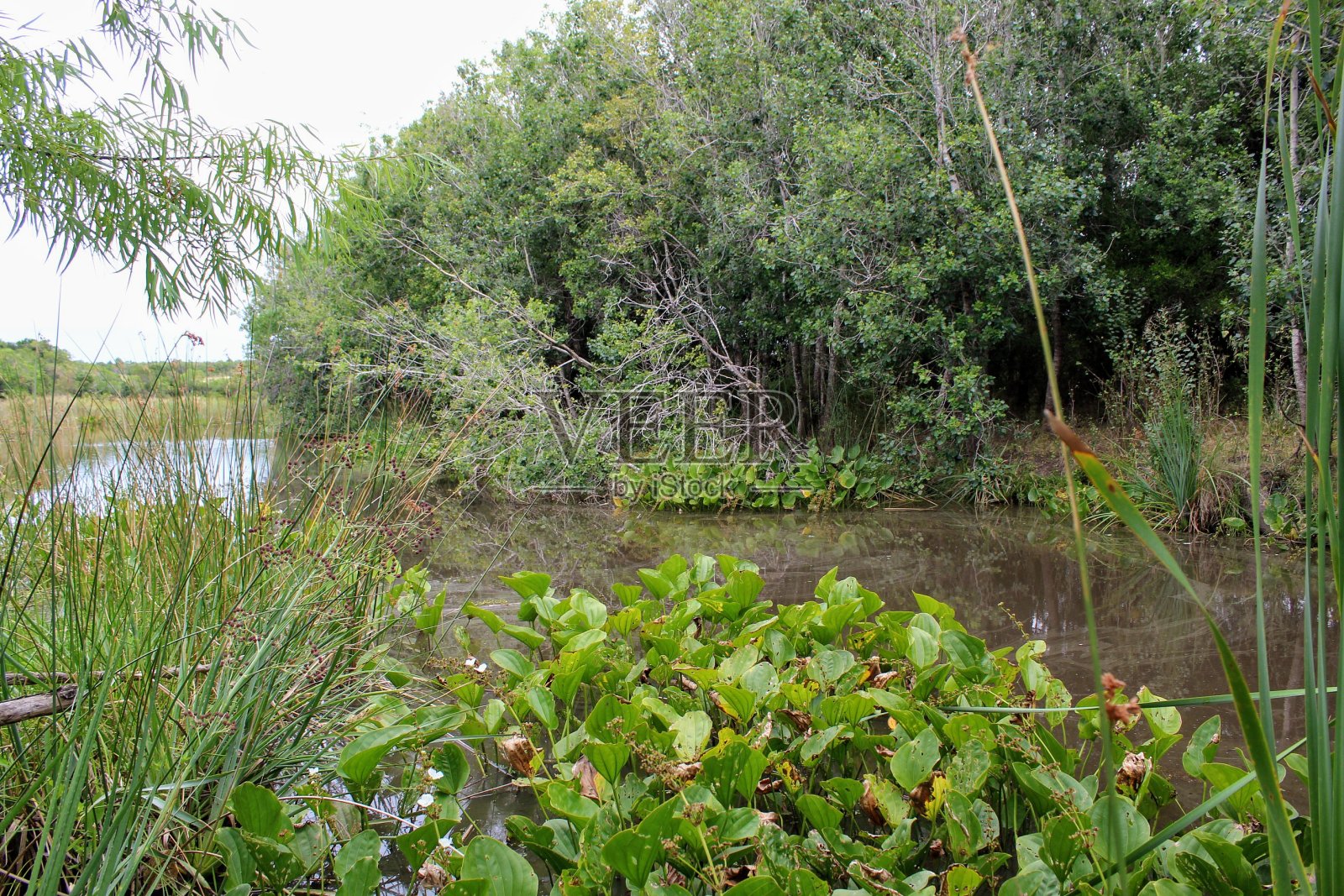 河照片摄影图片
