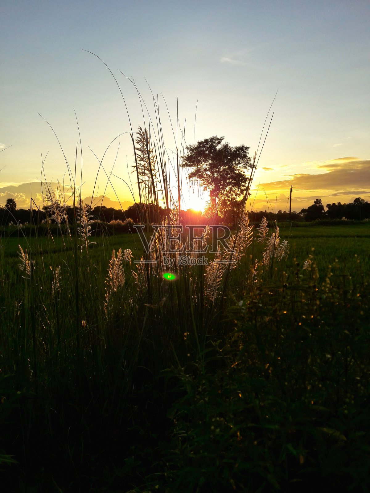 秋天照片摄影图片