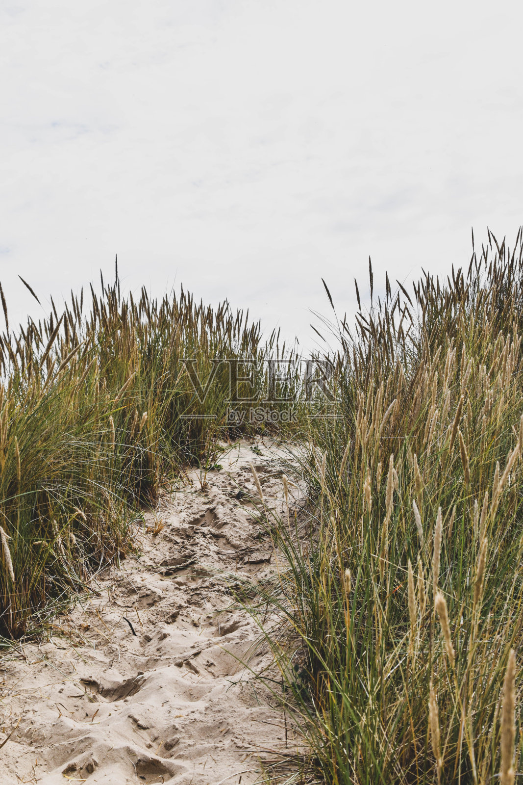 沙滩上的脚印照片摄影图片