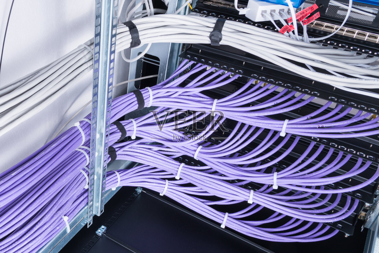 大组UTP电缆，以太网电缆在机架机柜照片摄影图片