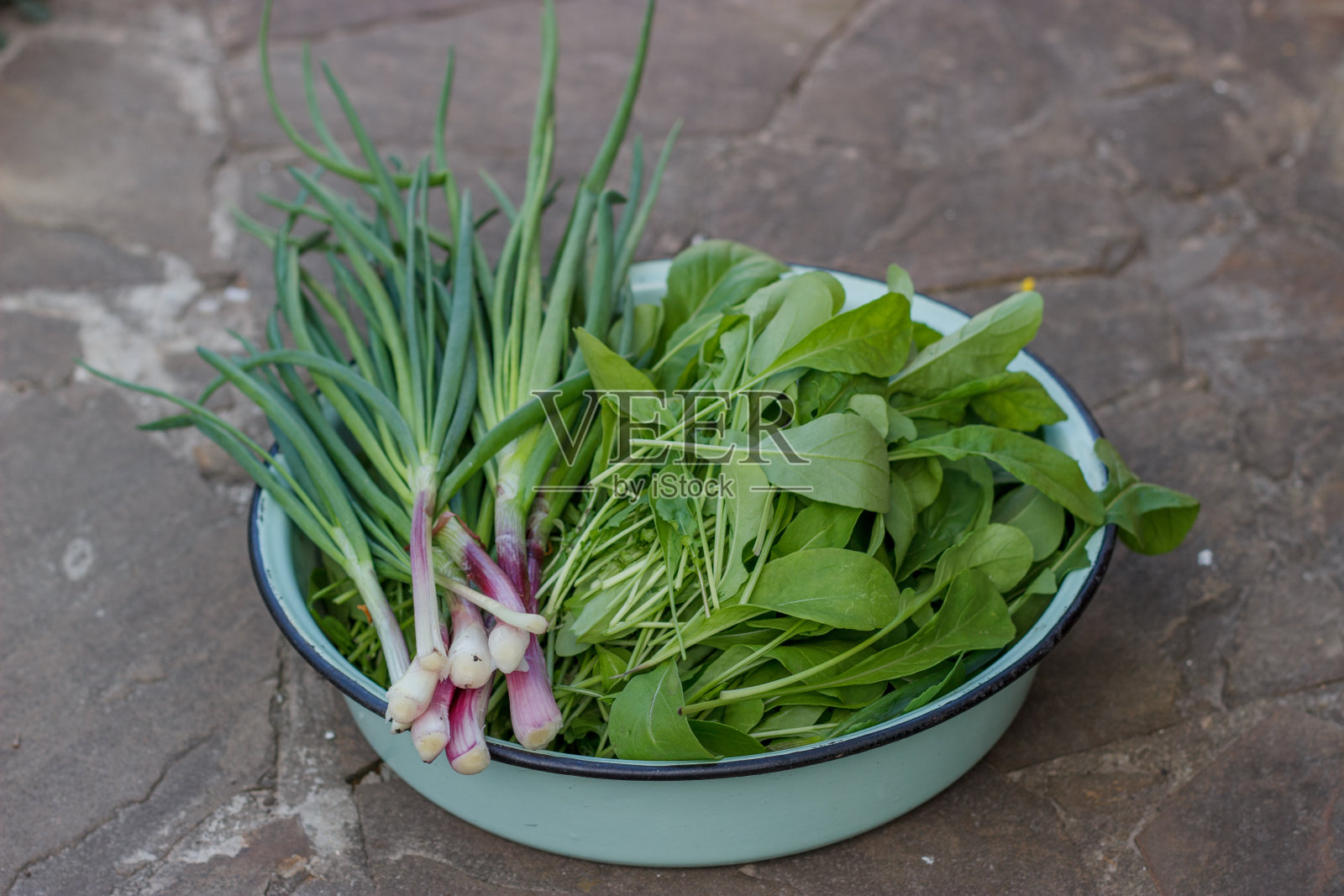 免费的有机蔬菜可以当沙拉吃照片摄影图片
