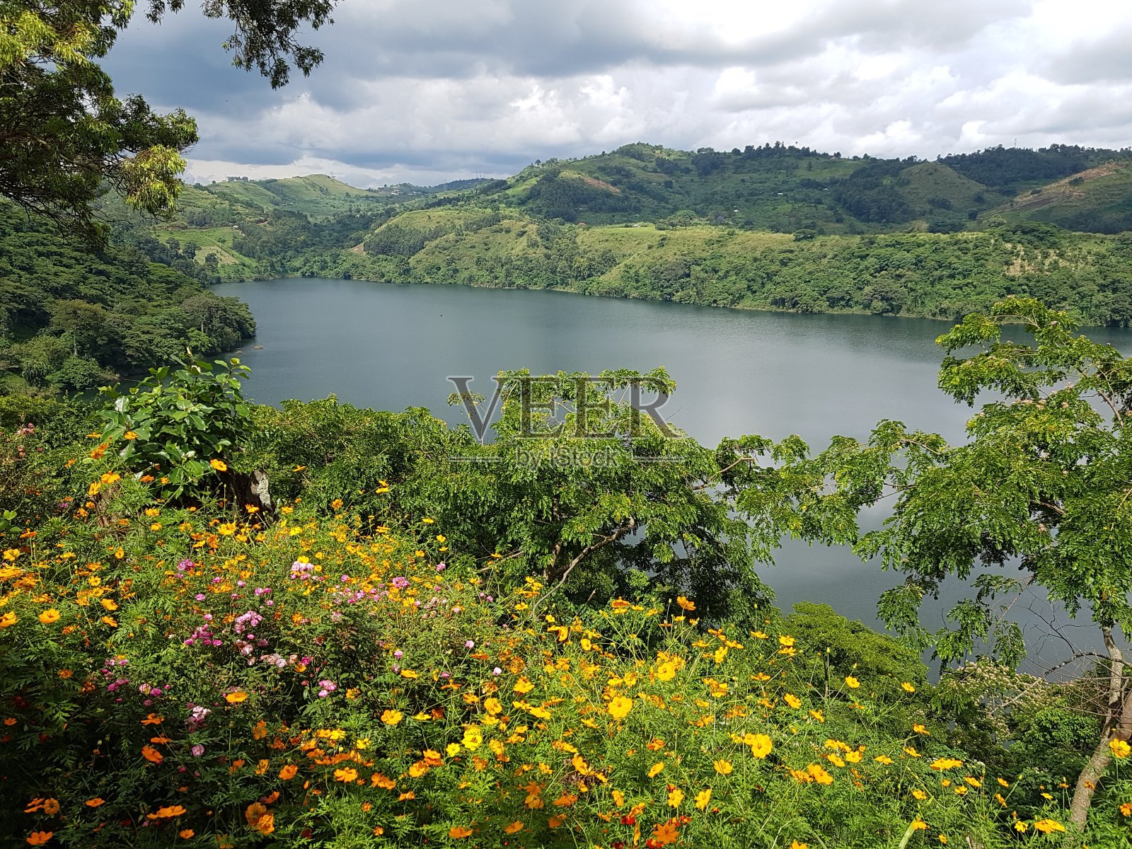 非洲乌干达的湖泊和绿色乡村照片摄影图片