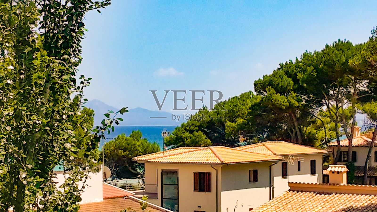 海景，树木和屋顶照片摄影图片