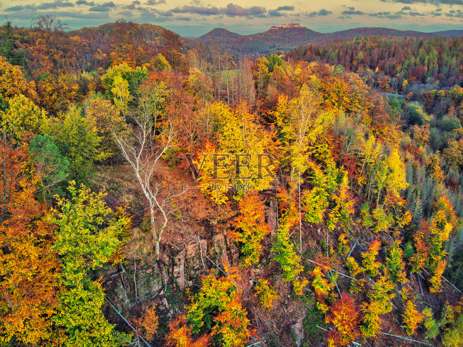 鸟瞰瓦特堡秋天的森林照片摄影图片