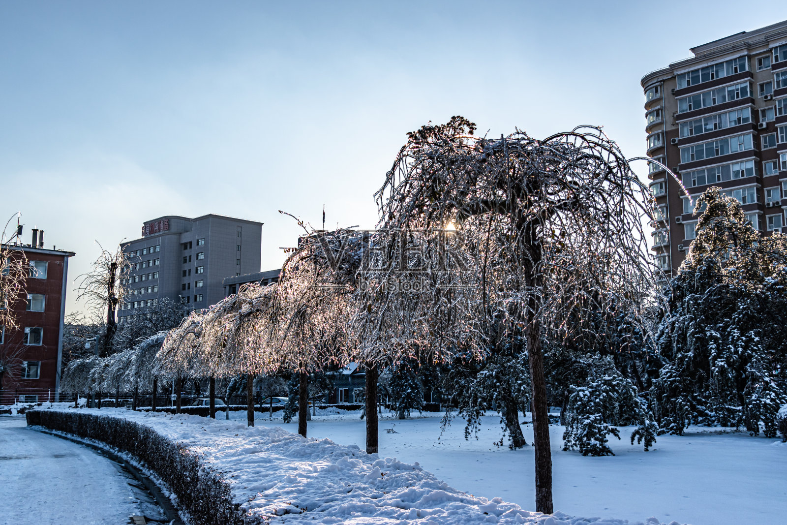 冬季景观御花园在长春，中国后大雪照片摄影图片