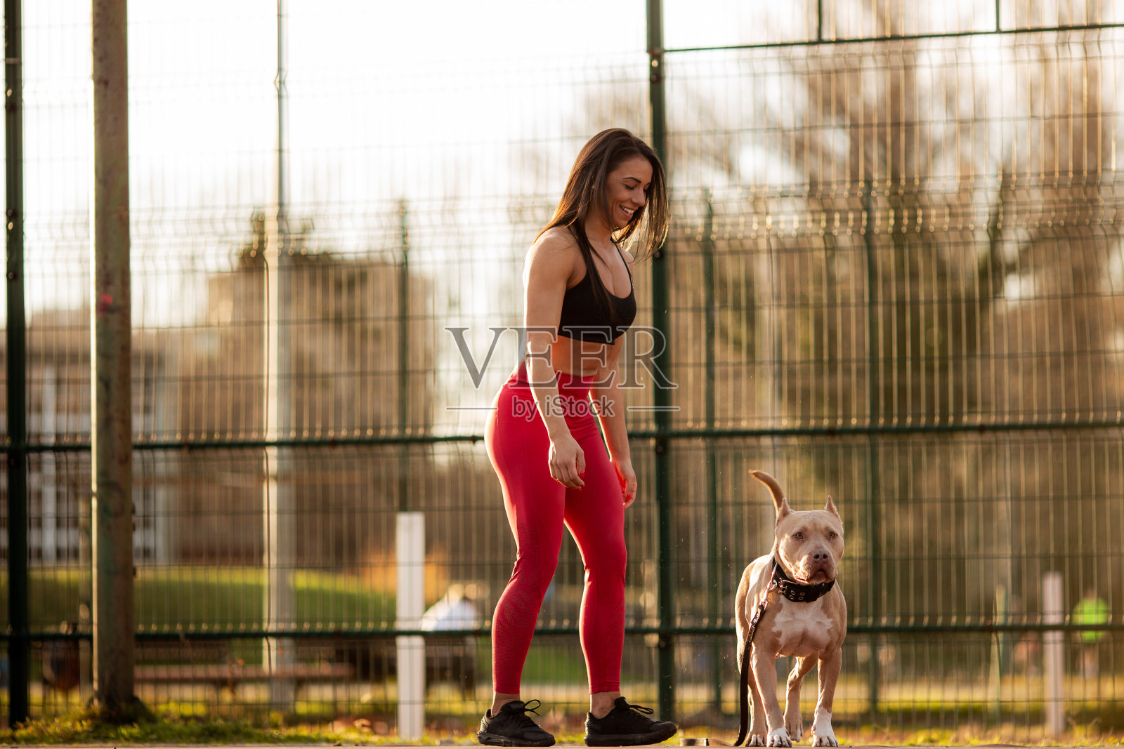 年轻活跃的女人和她的斯塔福德在棒球场。照片摄影图片