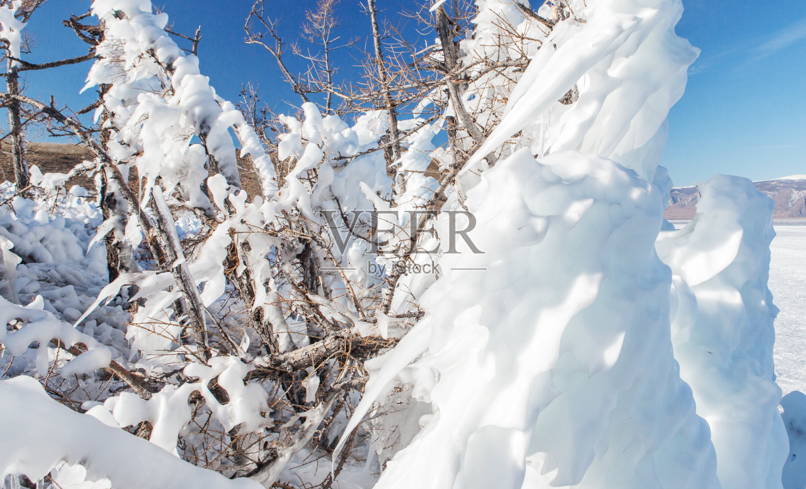 湖上一棵树结了冰。冰柱和冰覆盖着整棵树。照片摄影图片