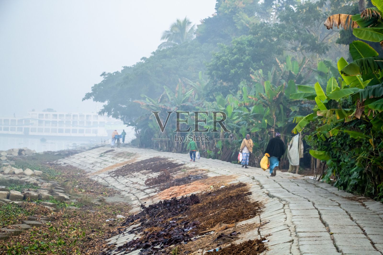 河边冬雾弥漫的街道照片摄影图片