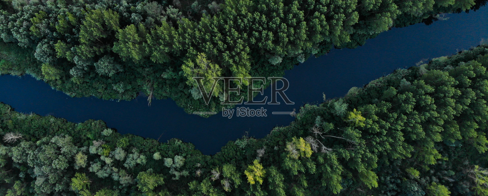 横幅顶视图绿色茂密的森林与高大的树木。这条河在树林间流过。照片摄影图片