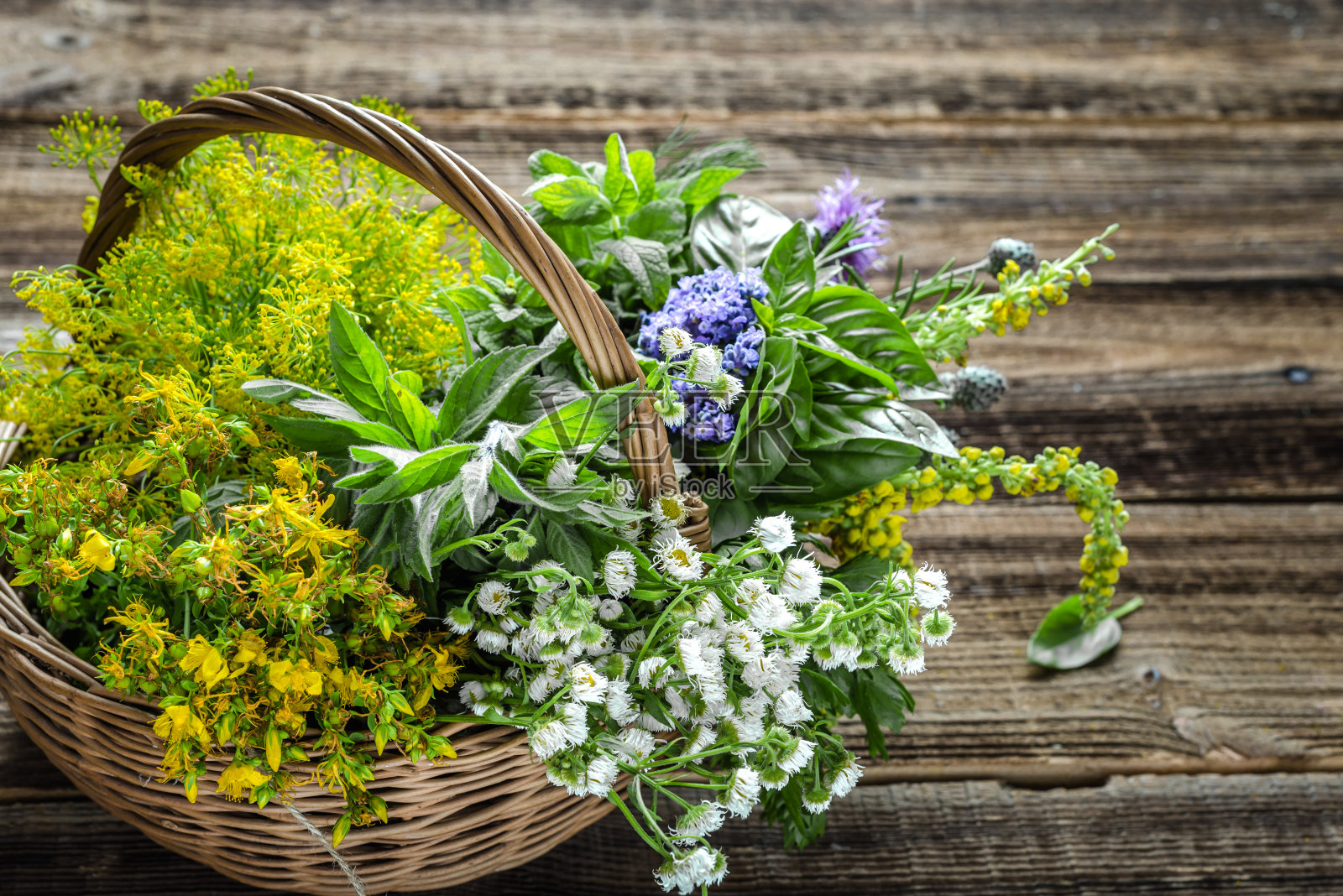 篮子里装着各种新鲜的花园香草照片摄影图片