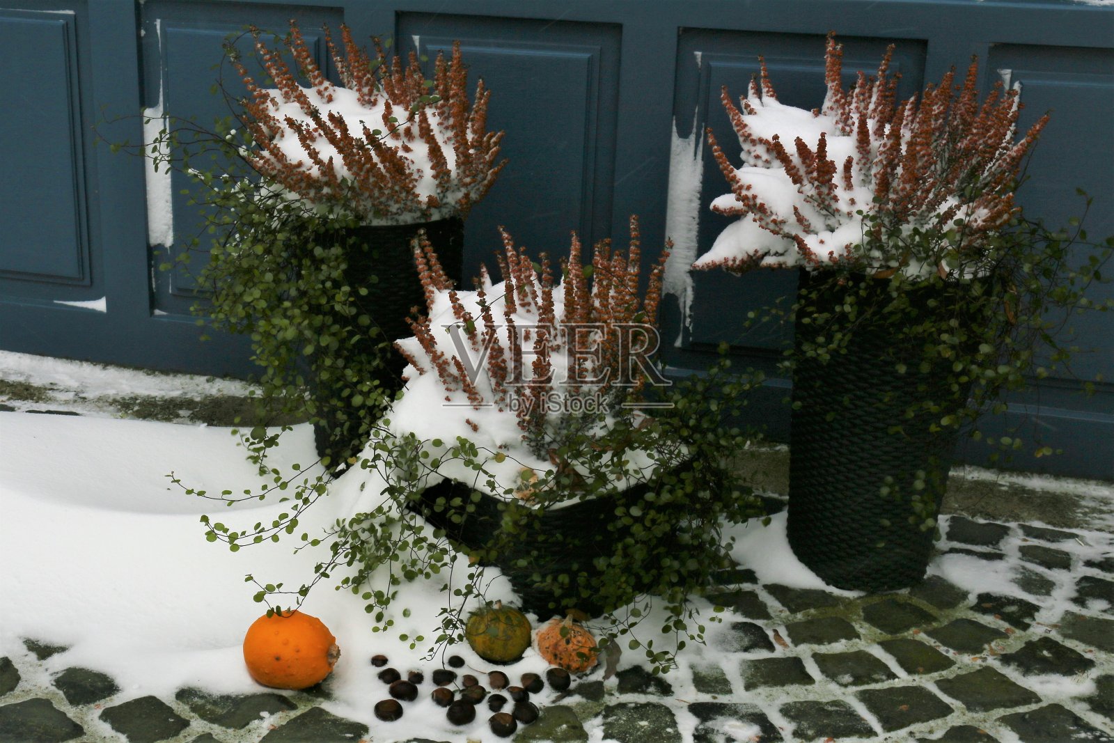 秋景树木照片摄影图片