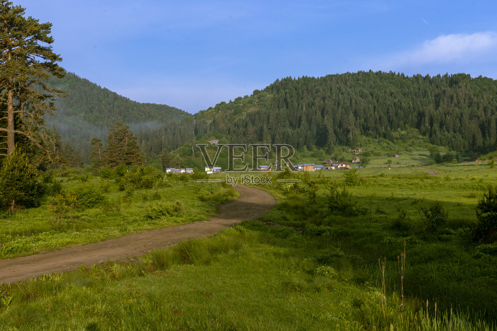 高地，树木，鲜花，高地房屋照片摄影图片