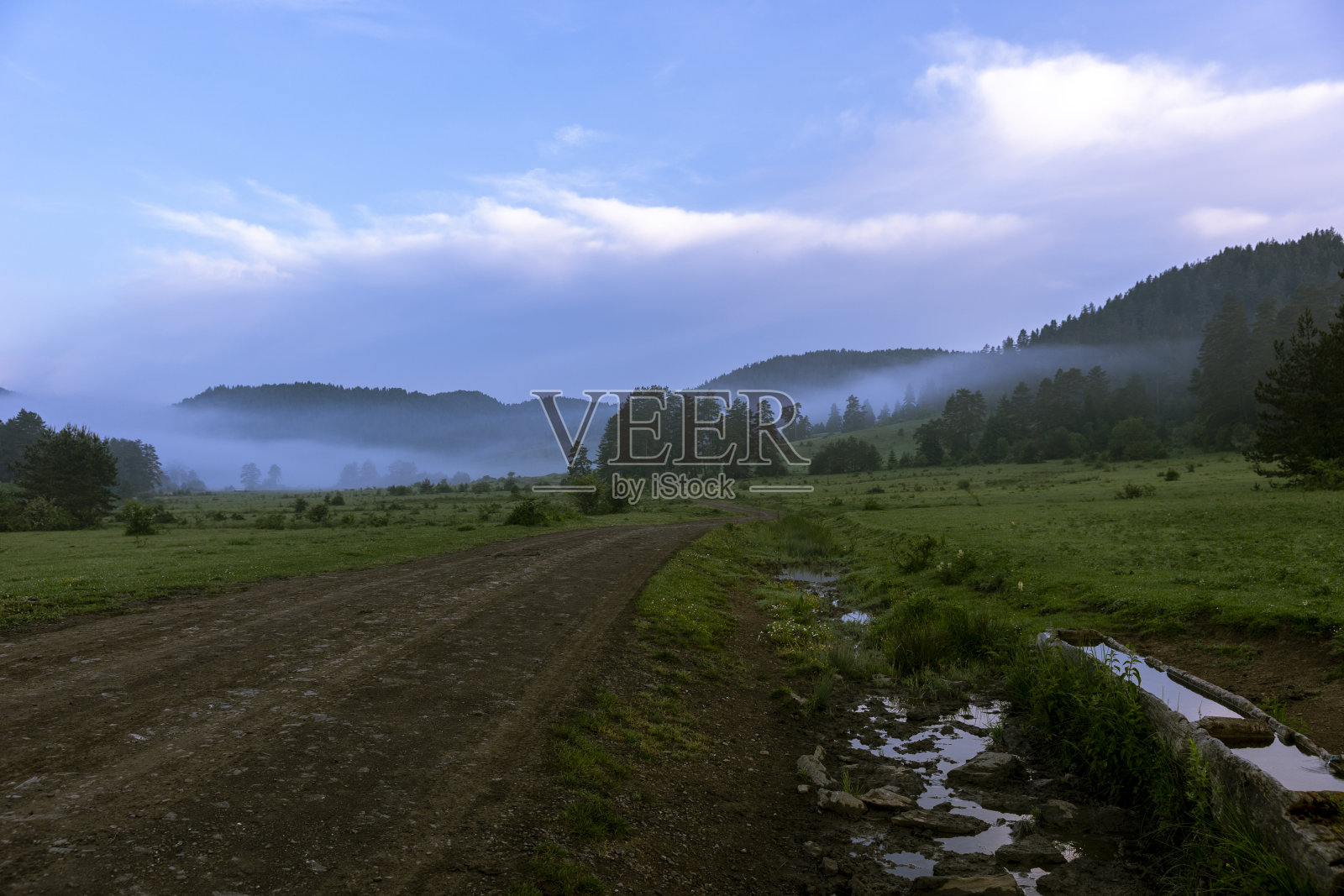 高地，树木，鲜花，高地房屋照片摄影图片