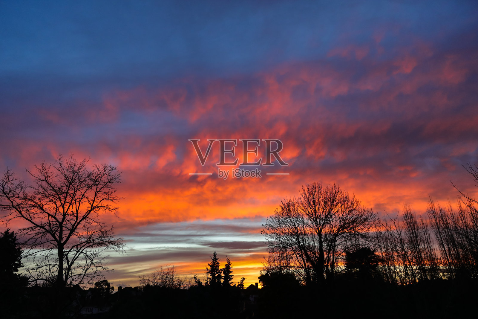 以树为背景的冬日乡村日落照片摄影图片