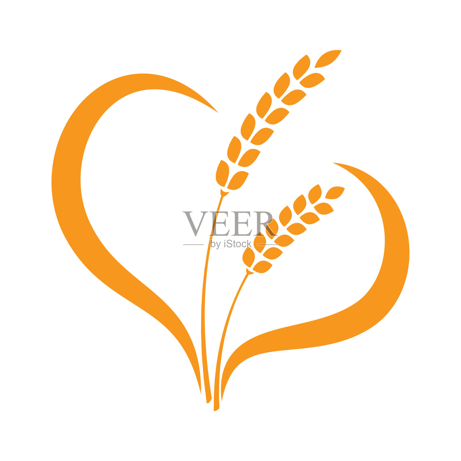 在白色背景上分离的载体小穗。穗状花序的植物。小麦、稻子、黑麦穗，农业的象征，面包，丰收插画图片素材