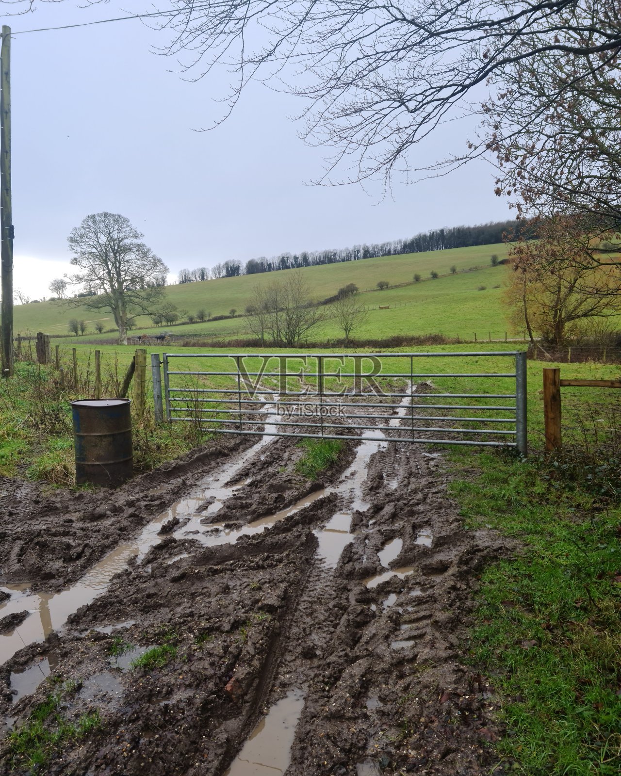 泥泞的照片摄影图片
