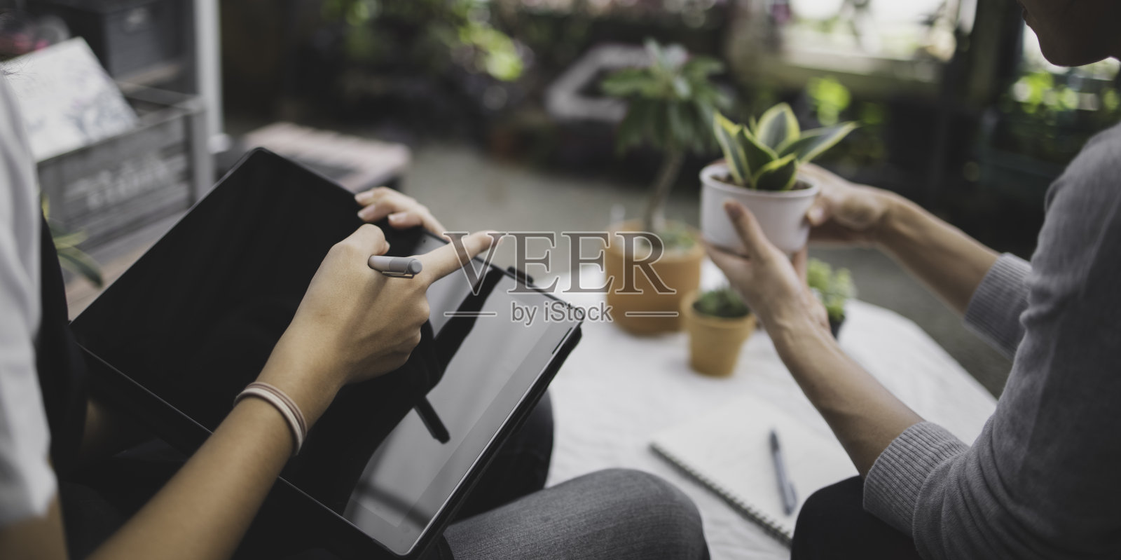 智能园艺耕作概念，企业家园丁使用电脑笔记本电脑应用程序与客户销售树在零售花店照片摄影图片