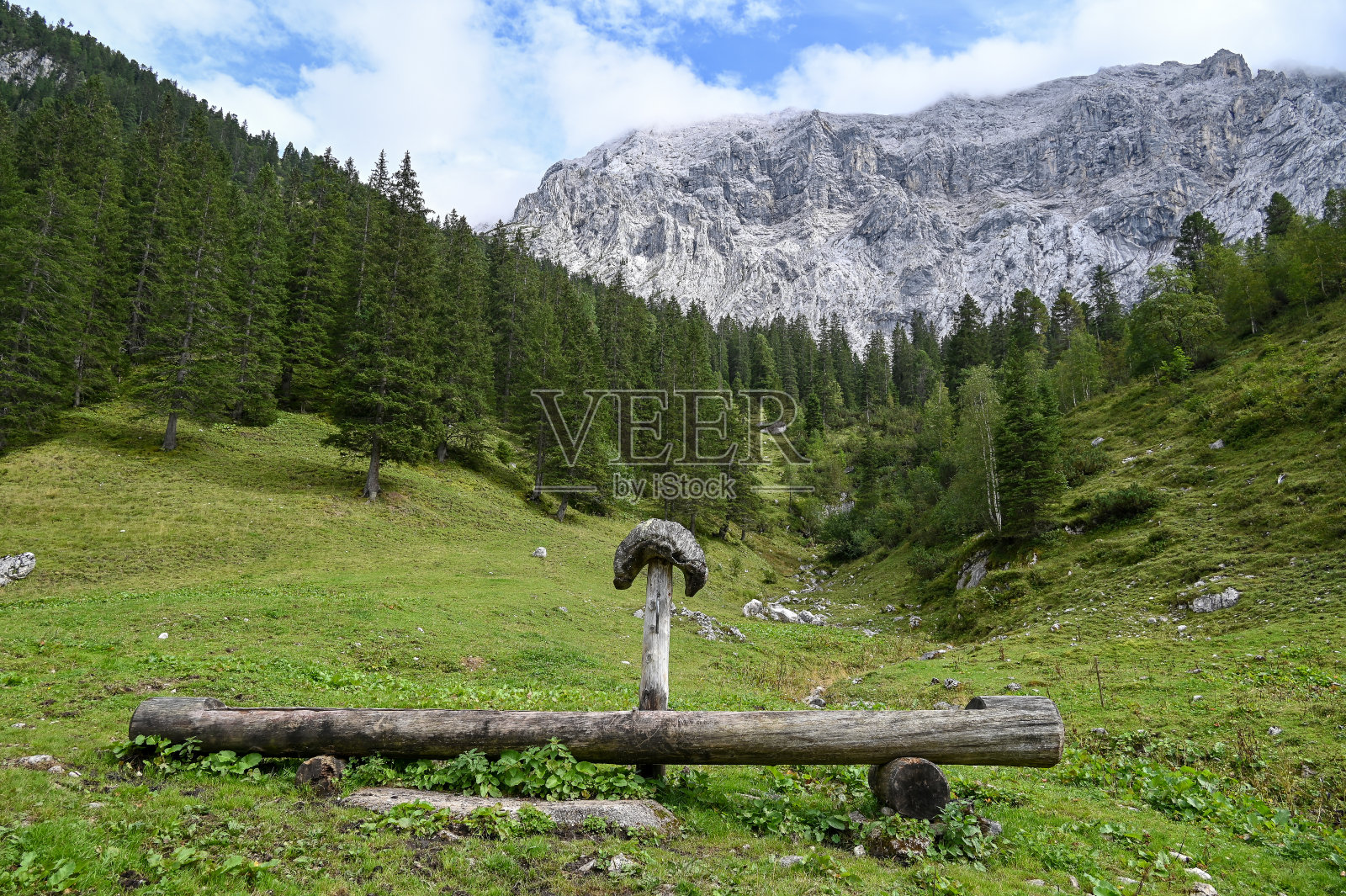 阴天里阿尔卑斯山上的木槽照片摄影图片