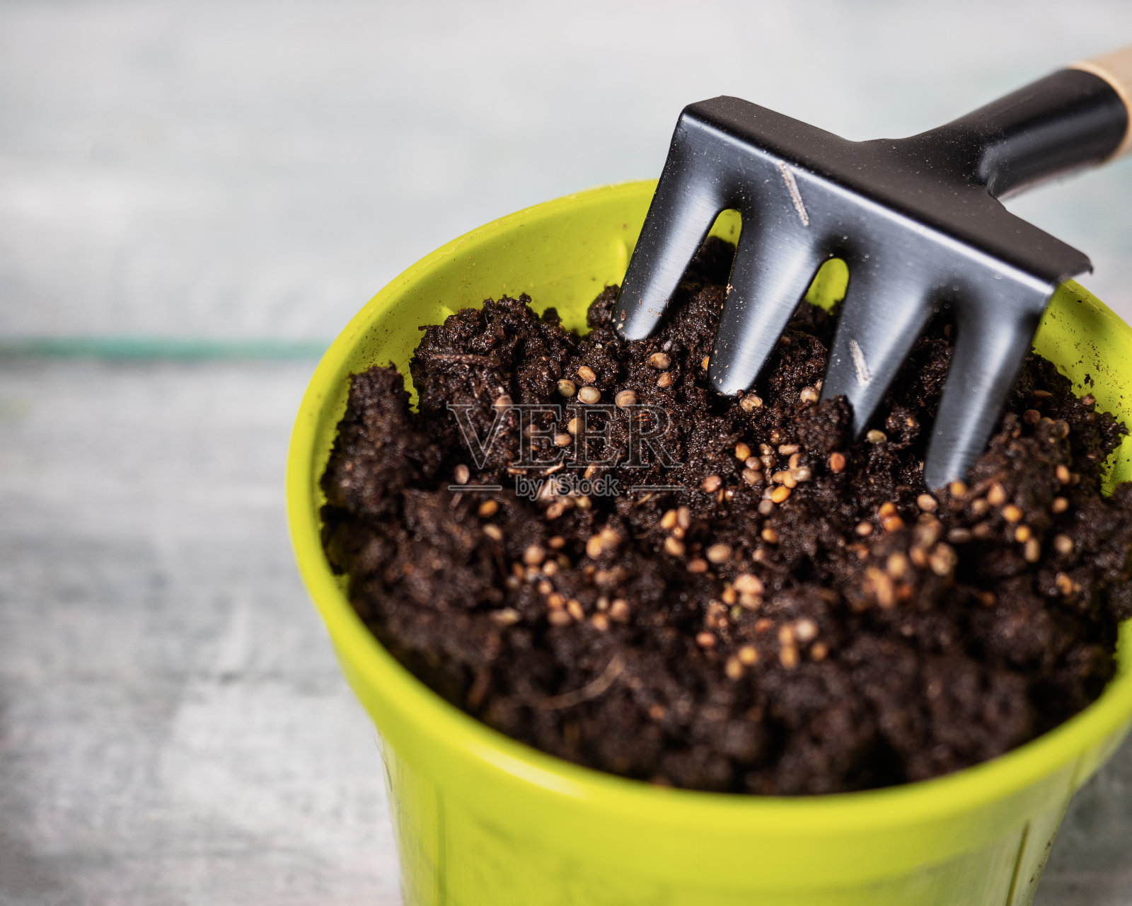 花盆用泥土播种微绿和花园小耙子照片摄影图片