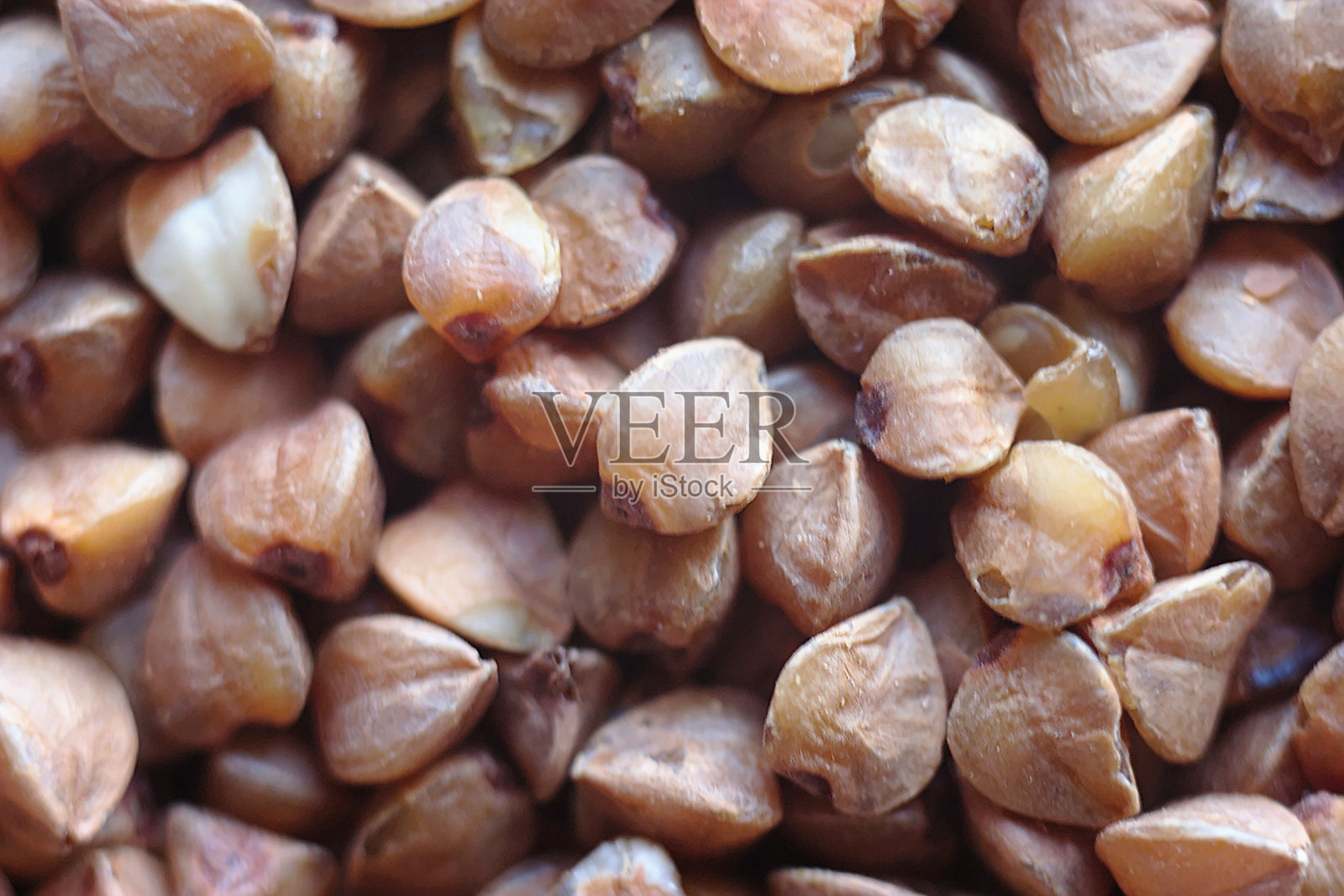 近距离接触大量荞麦种子照片摄影图片