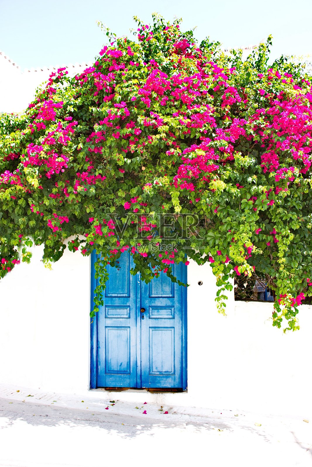 迷人的房子蓝色的门和开花九重葛，Spetses岛，希腊照片摄影图片