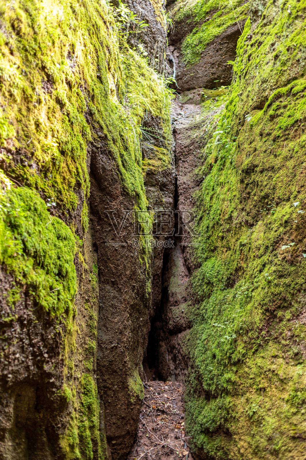 在德拉钦斯卢赫特的苔藓覆盖的岩石之间的小径照片摄影图片