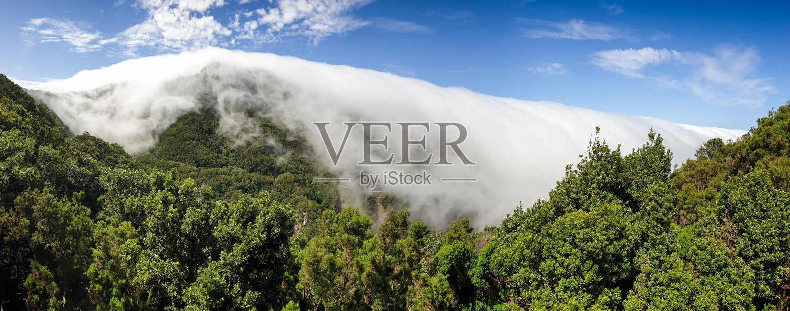 美丽的全景照片的云飞过高山峰和森林照片摄影图片