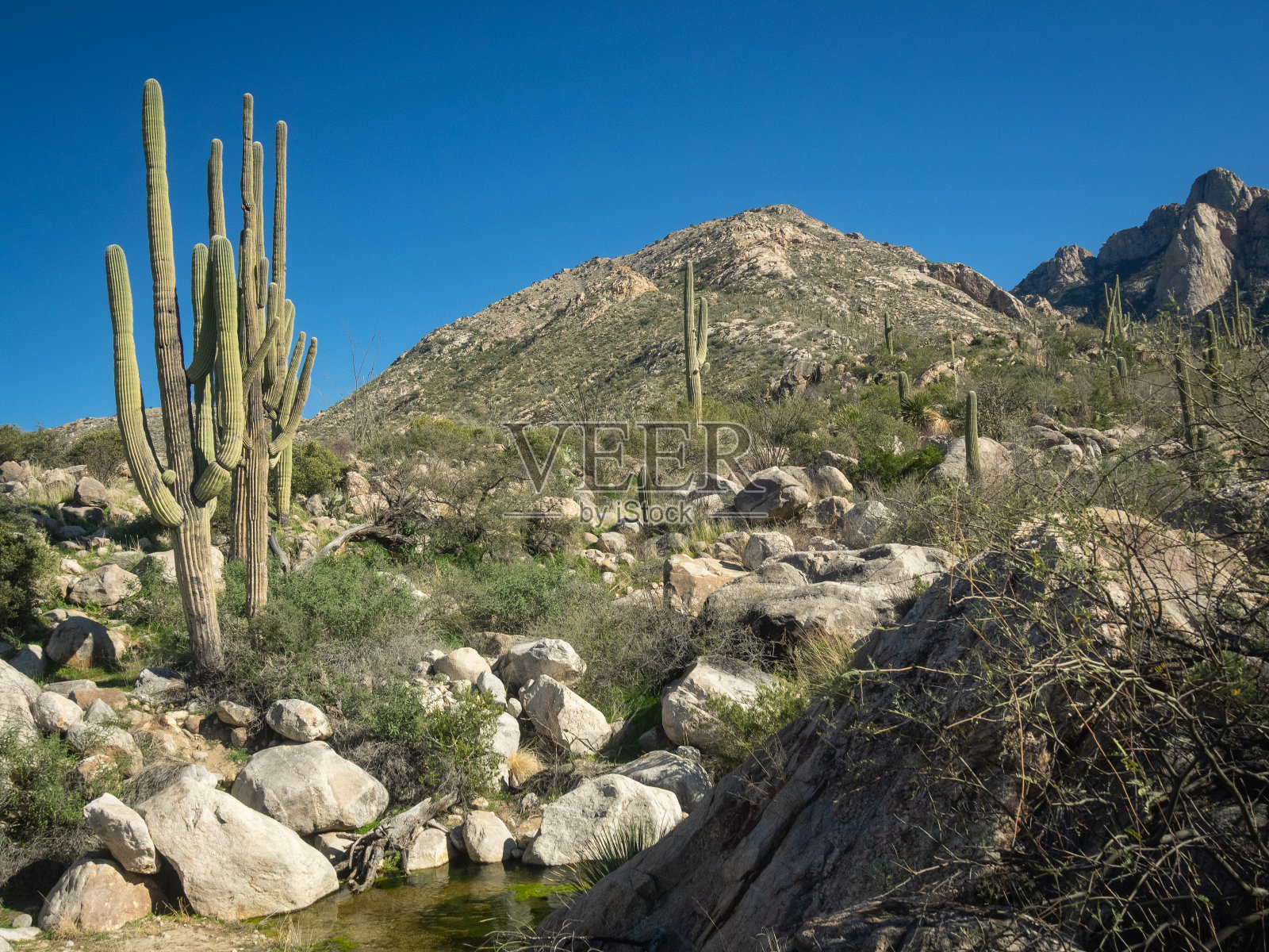 沙漠景观照片摄影图片