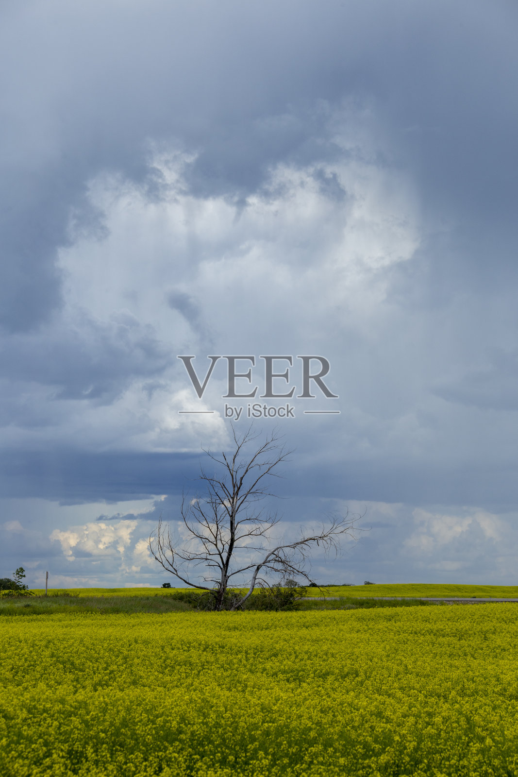 加拿大草原风暴云照片摄影图片