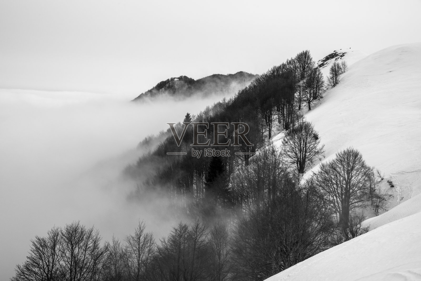 树，云和雪照片摄影图片