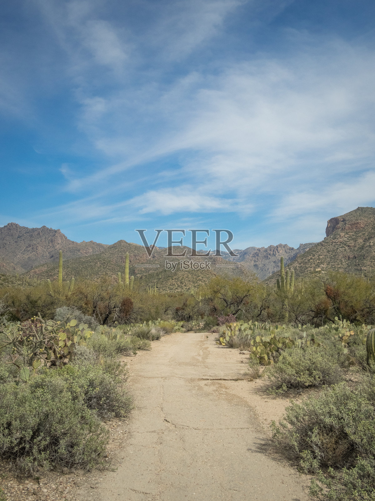 美丽的沙漠景观照片摄影图片