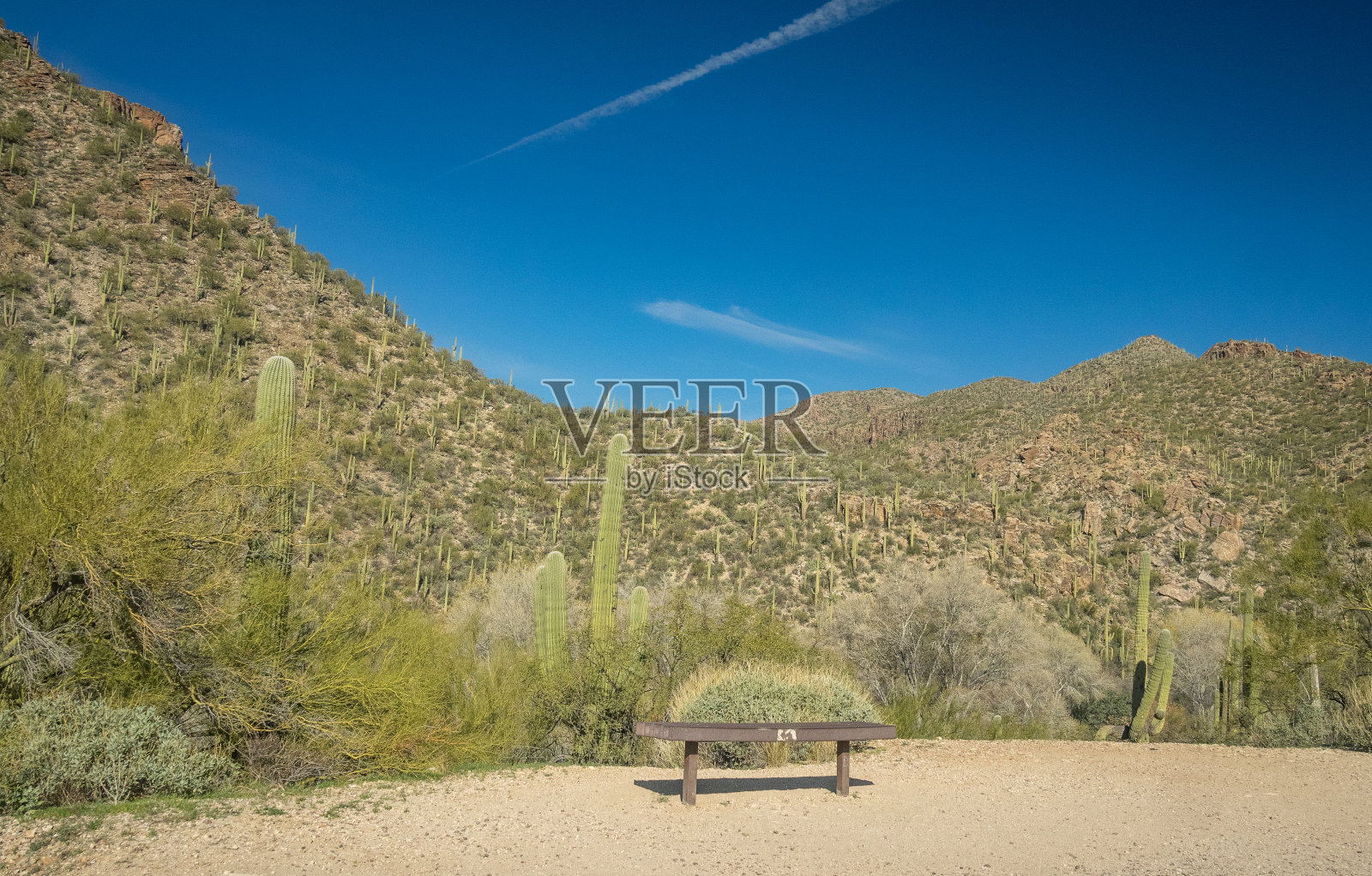 美丽的沙漠景观照片摄影图片