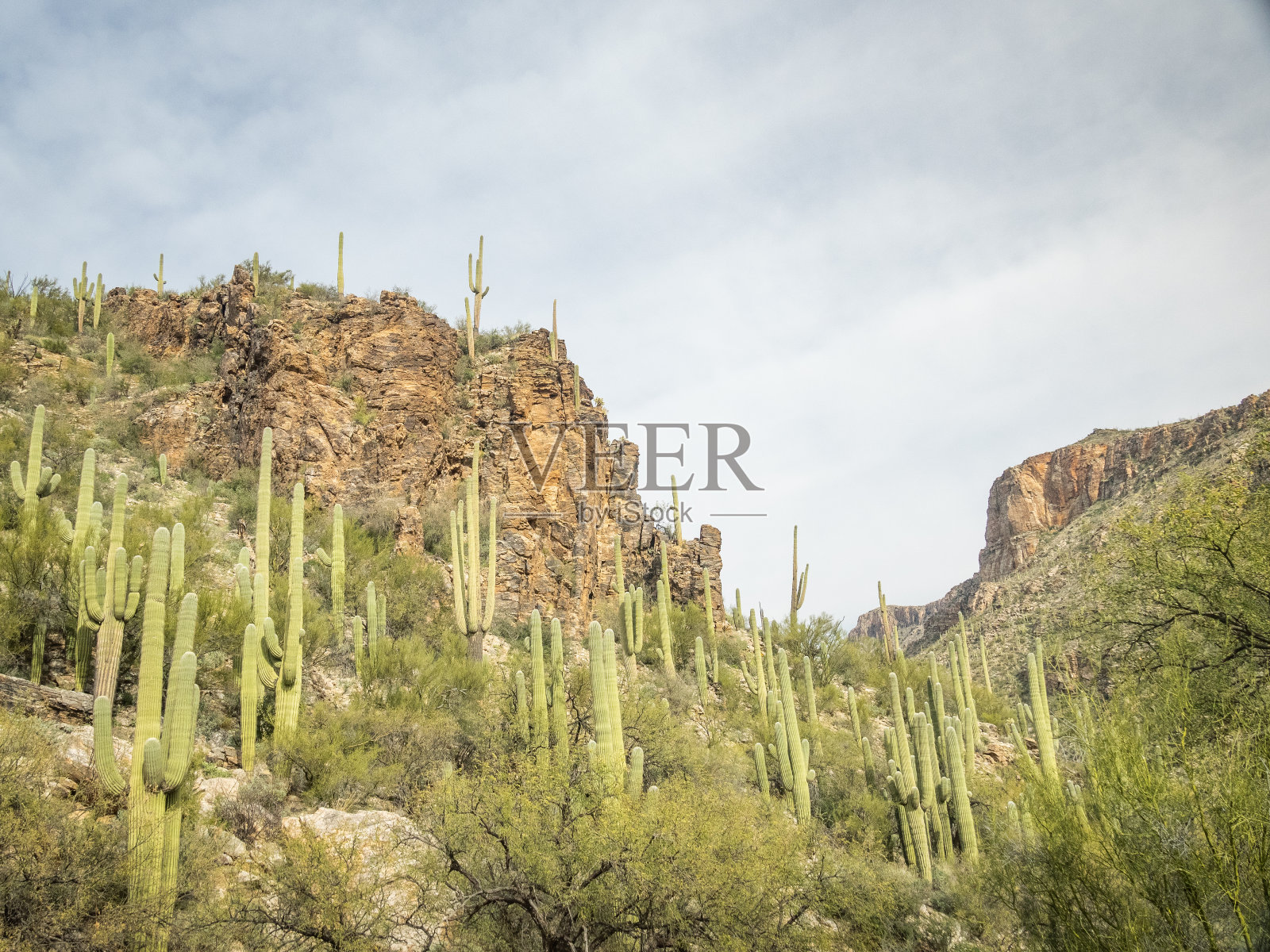 美丽的沙漠景观照片摄影图片
