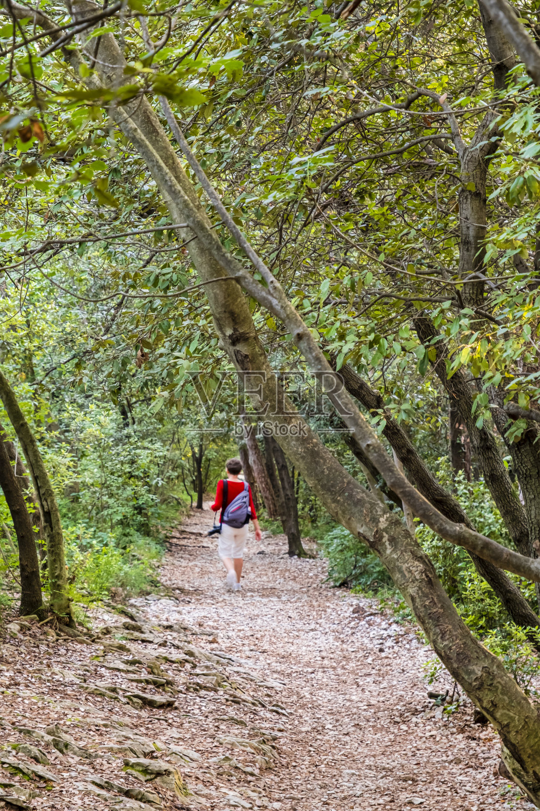 里尔克-里尔克小径(意大利friulii - venezia Giulia)照片摄影图片