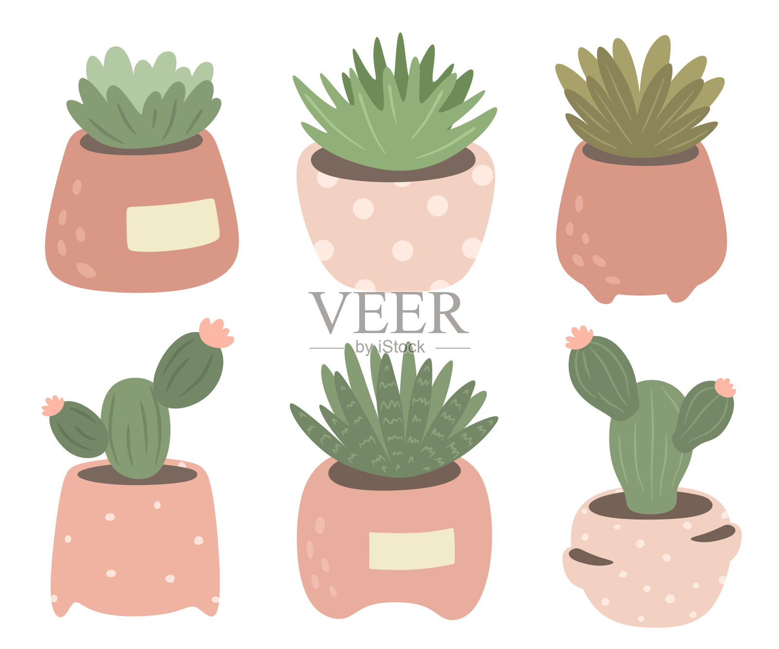 收集仙人掌和多肉植物在花盆。病媒分离在白色背景上。插画图片素材