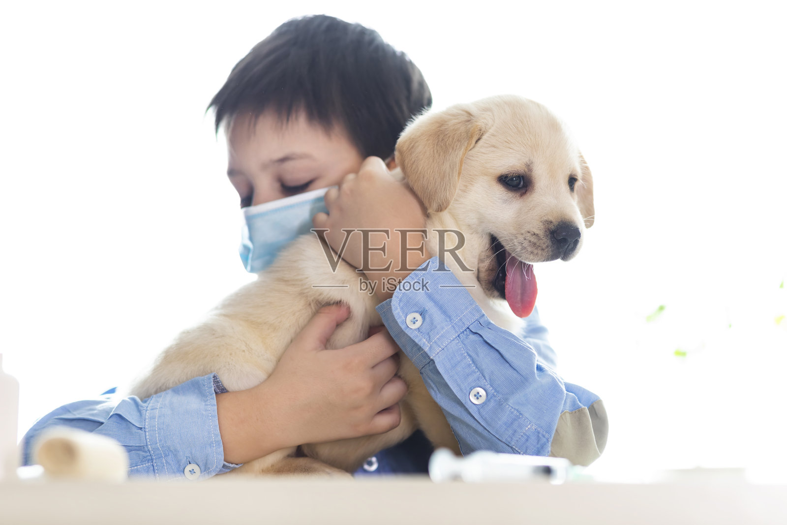 兽医诊所的小狗和它的小主人照片摄影图片