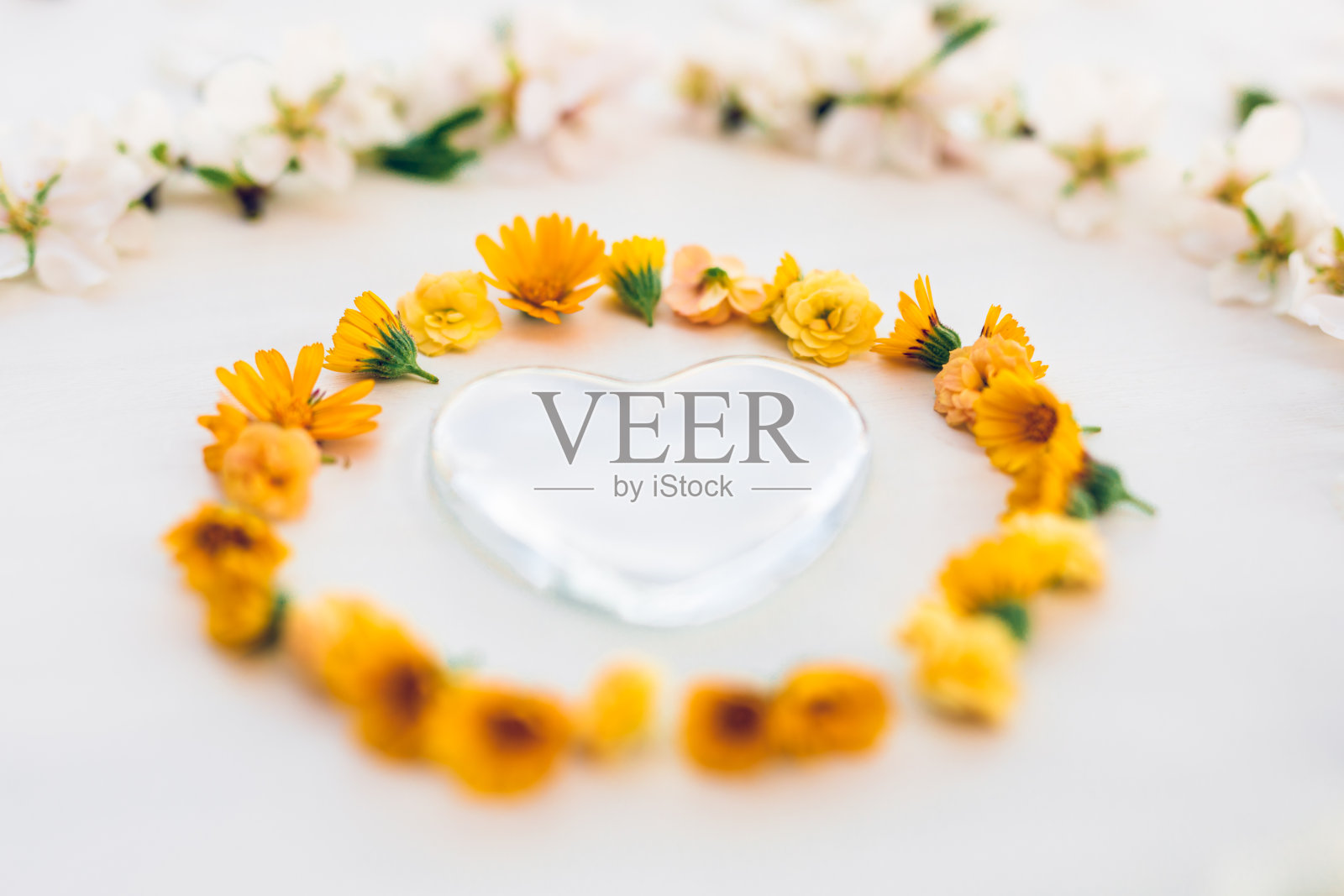 杏花和黄色草甸花透明玻璃心精美特写照片摄影图片