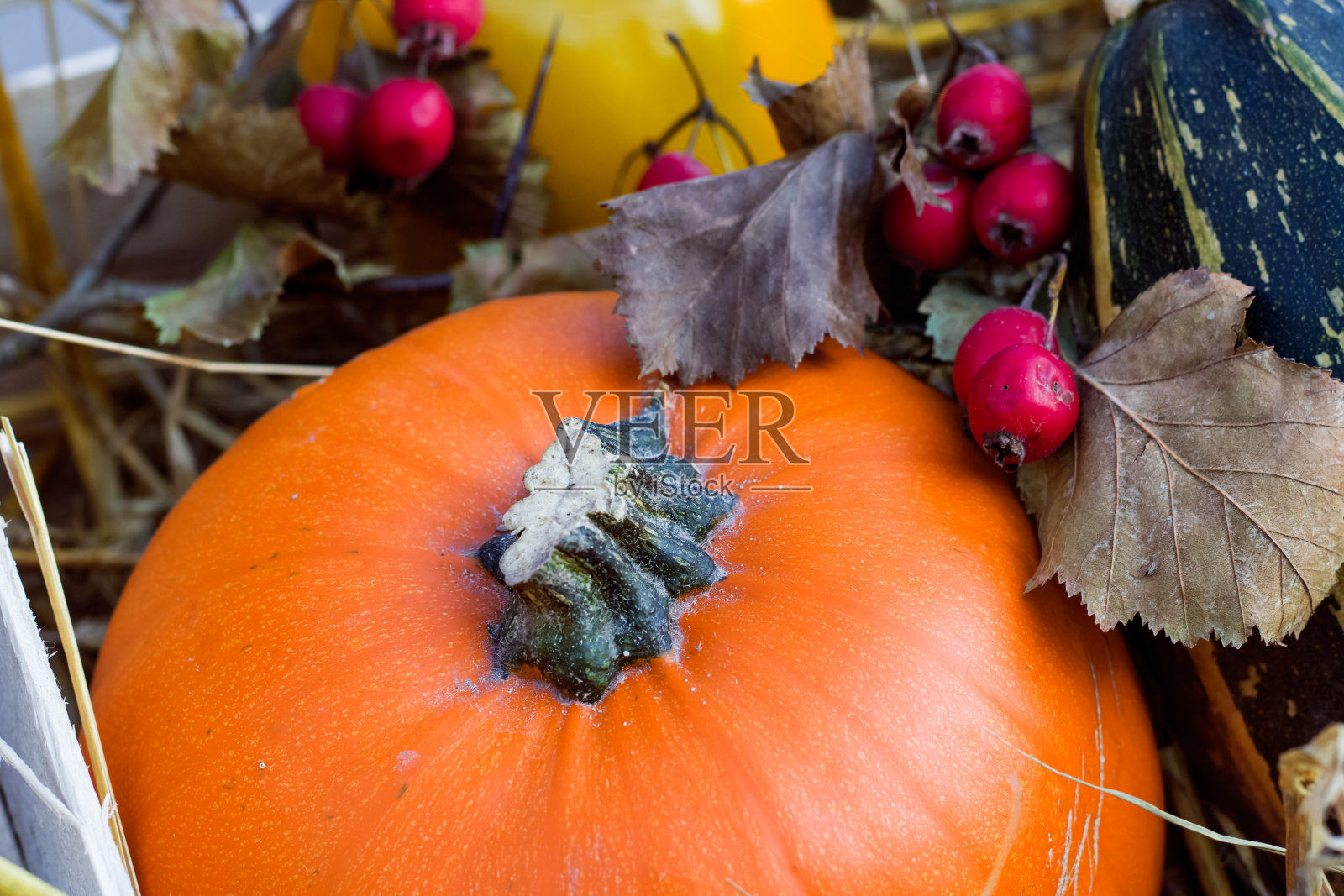 南瓜，水果和蔬菜放在一个篮子里照片摄影图片