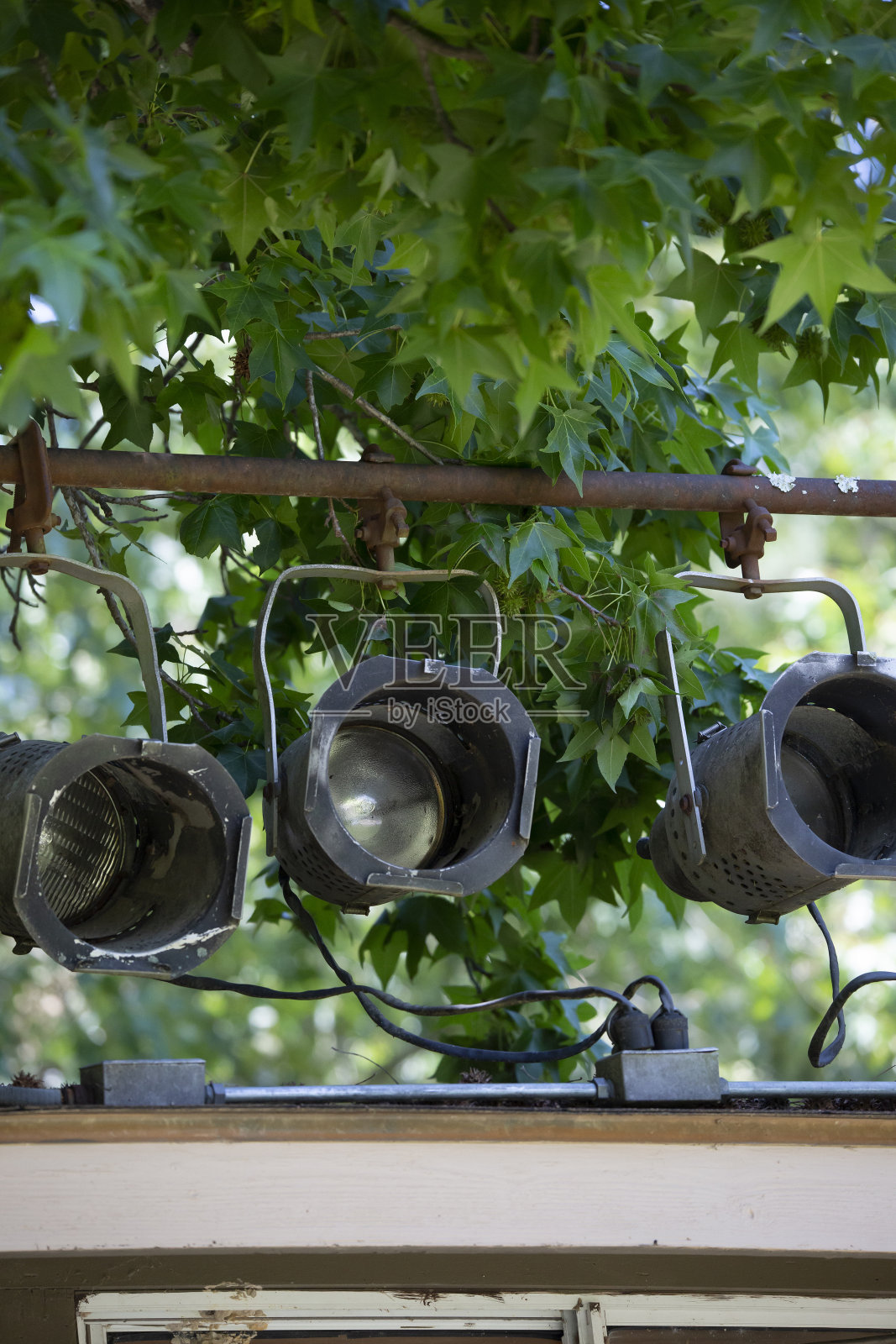 体育馆的灯光照片摄影图片