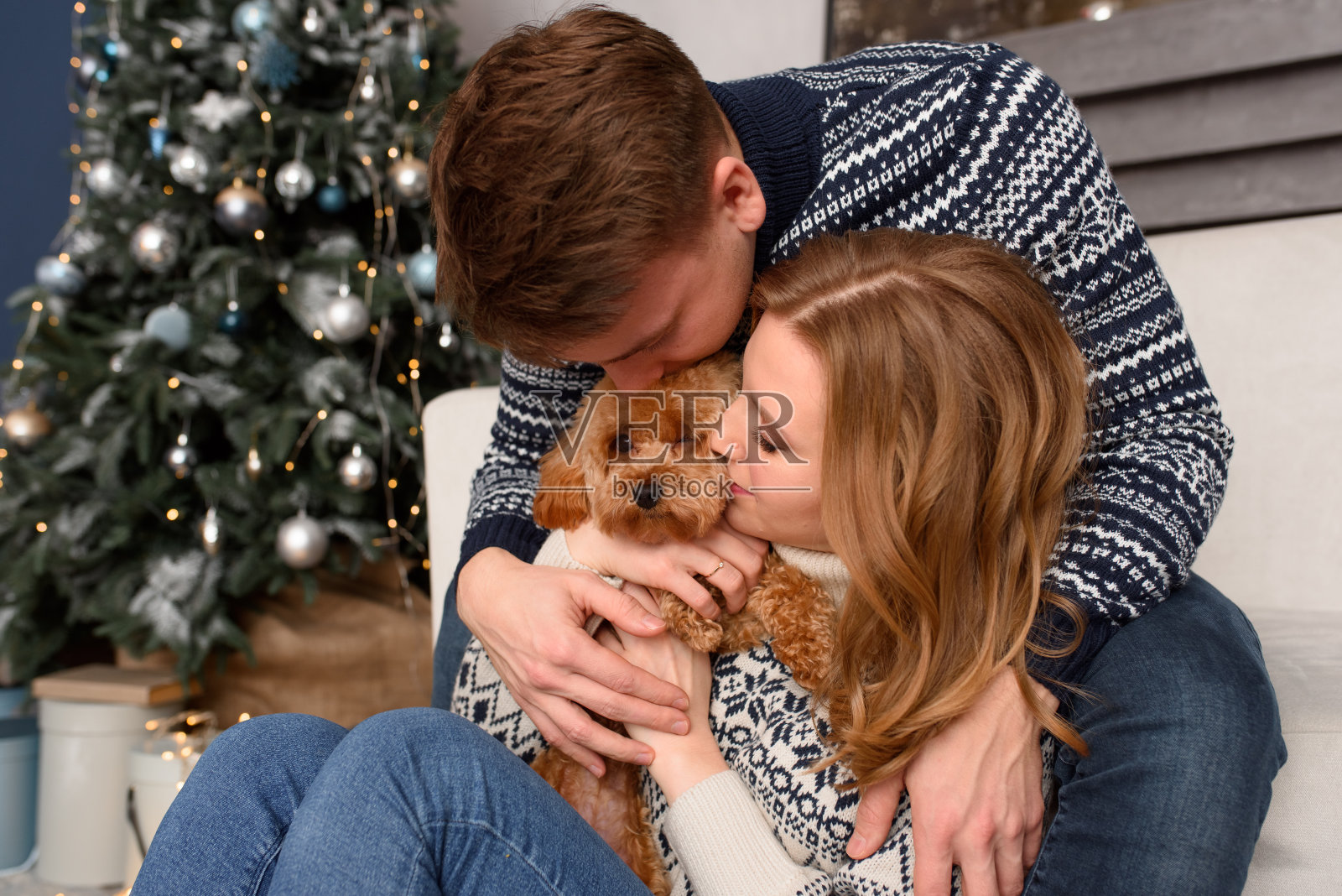 幸福的家庭在时尚的毛衣有乐趣与可爱的狗在节日的房间与圣诞树。情感的时刻。圣诞快乐，新年快乐。节日快乐照片摄影图片