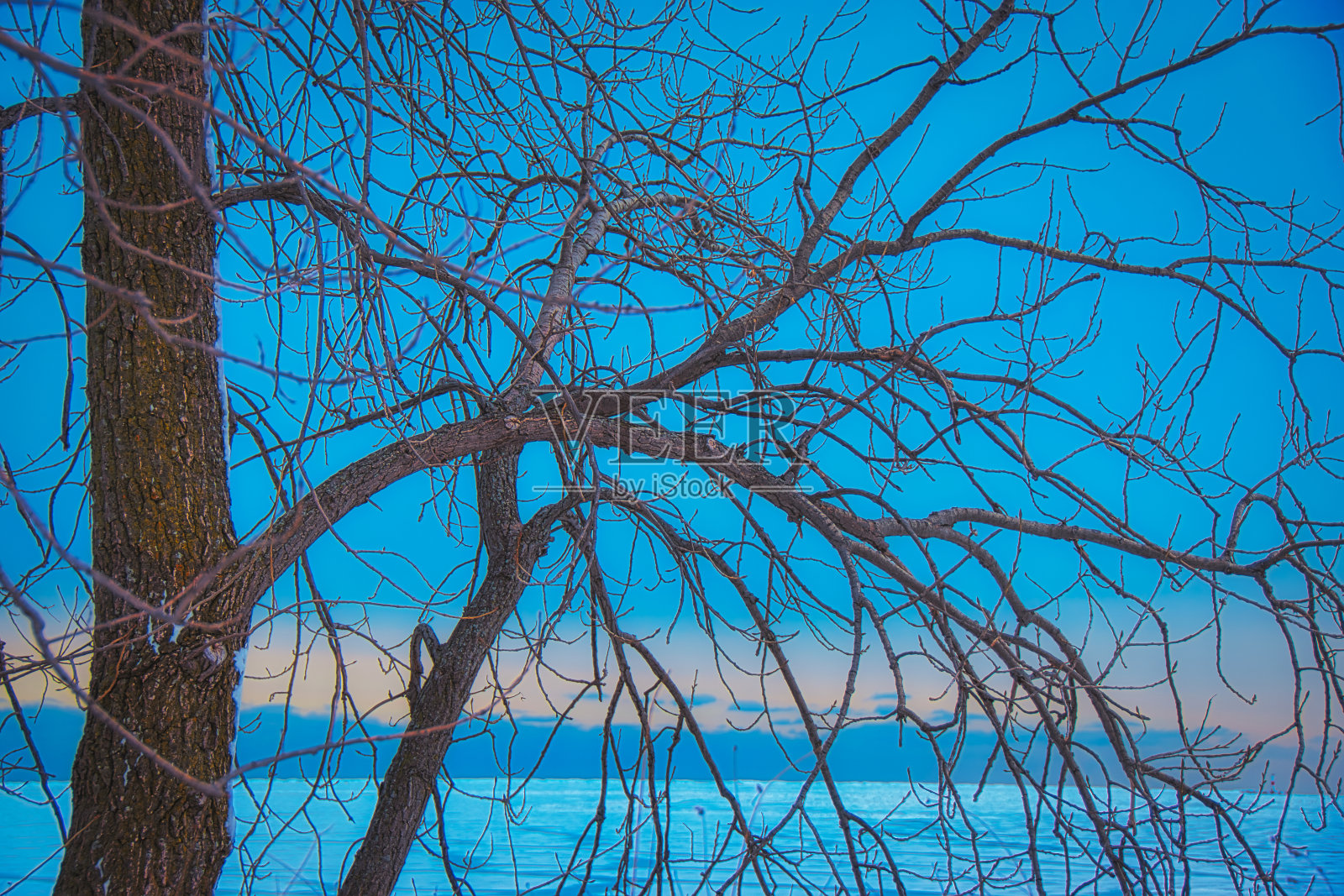 蓝色的冰。(b)照片摄影图片