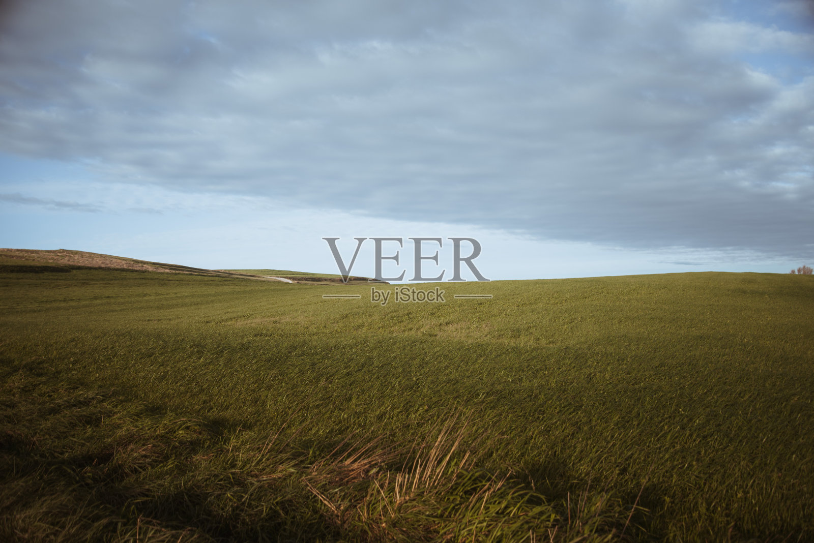 乡间的田野照片摄影图片