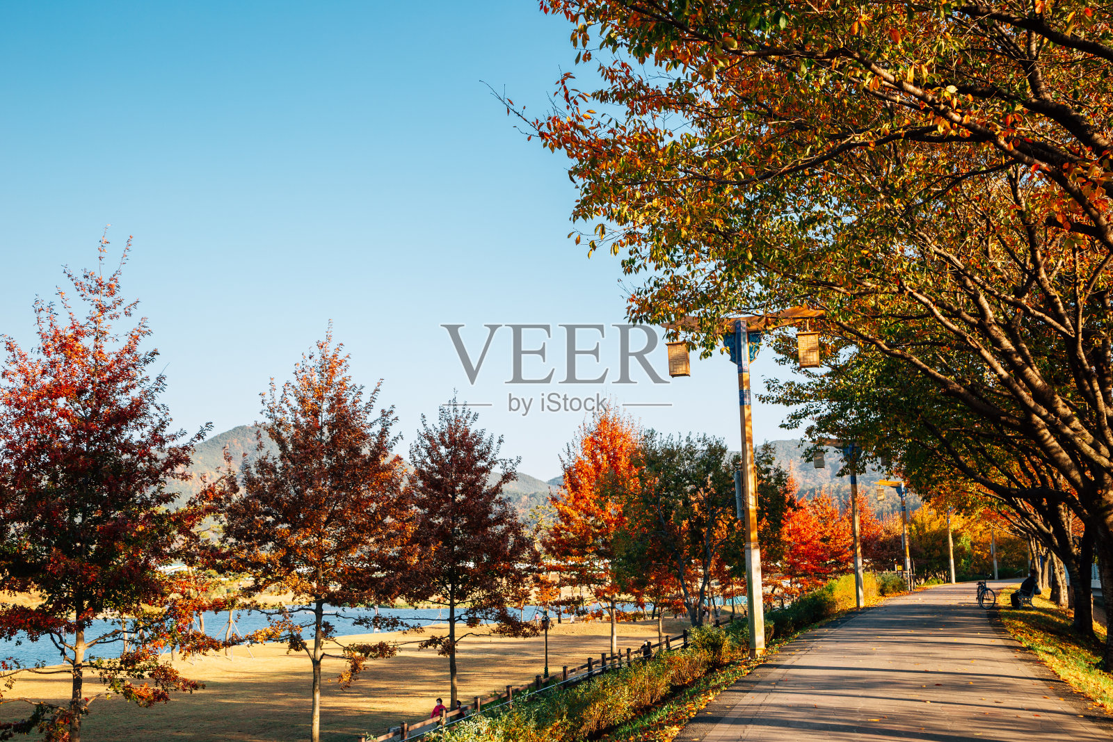 秋天的密阳河畔公园，韩国密阳照片摄影图片