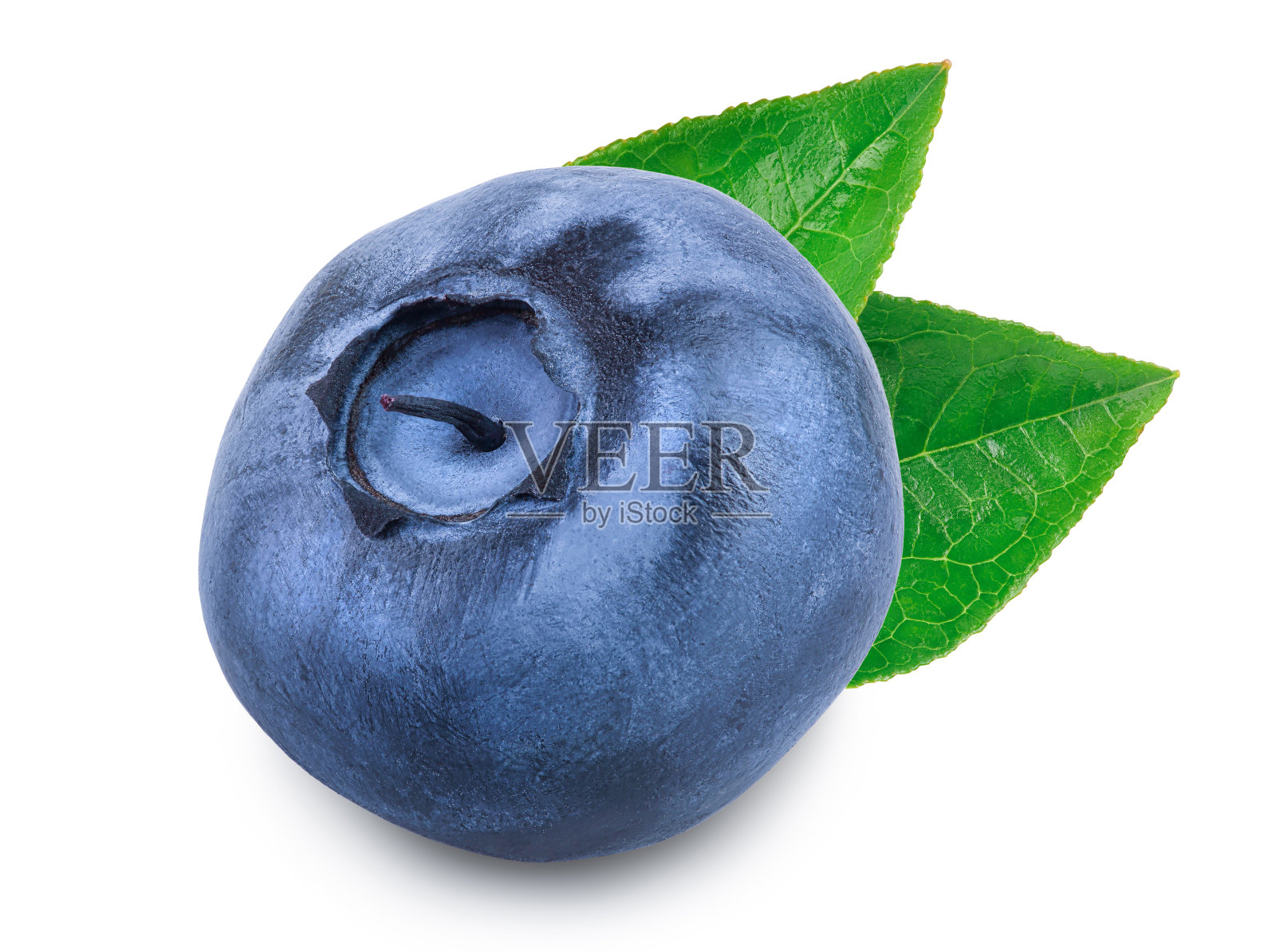 新鲜的蓝莓孤立的白色背景特写与剪辑路径和全景深的领域照片摄影图片