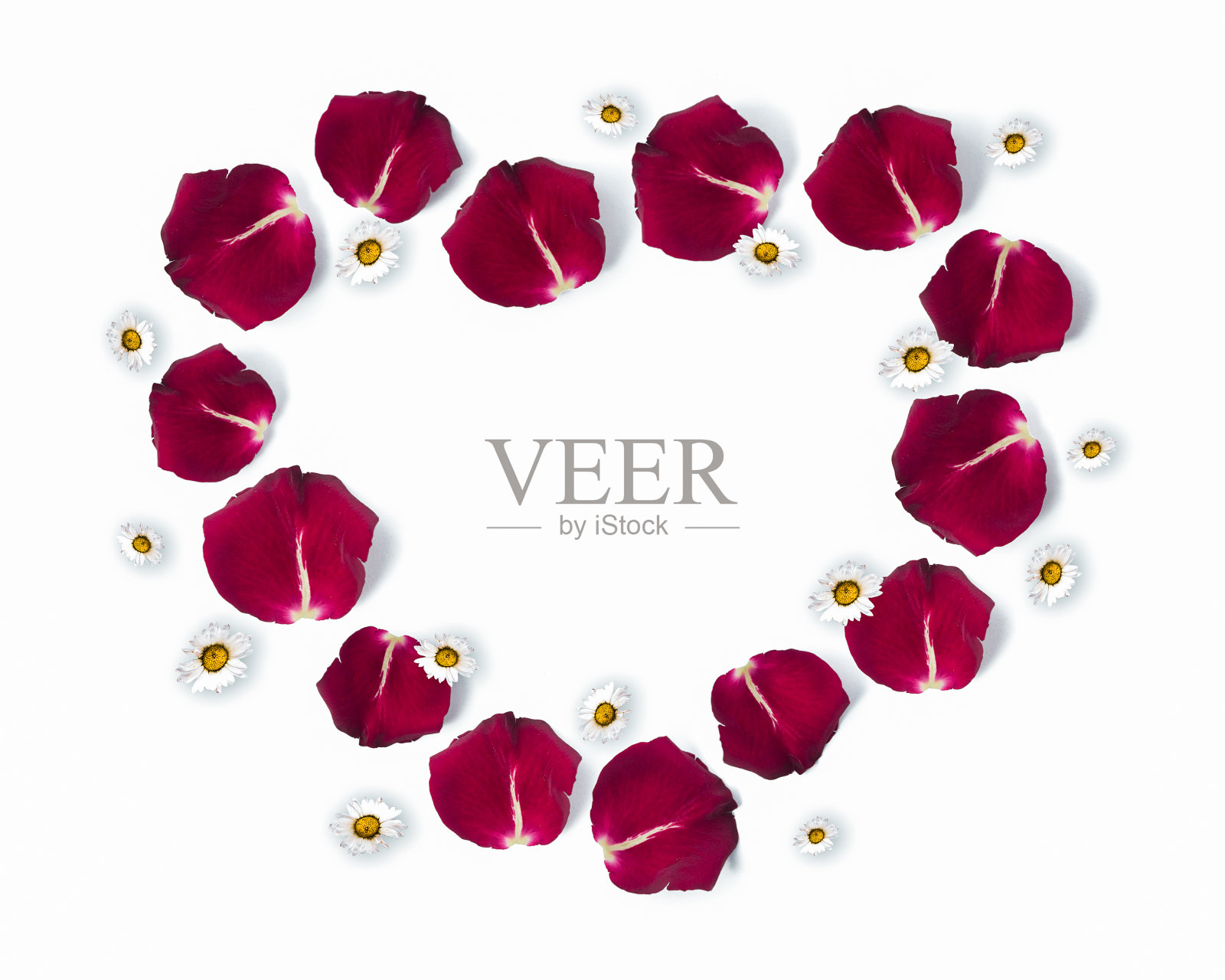 心形框架玫瑰花瓣和雏菊花与复制空间，情人节快乐，母亲节，花背景，平躺，俯视图照片摄影图片