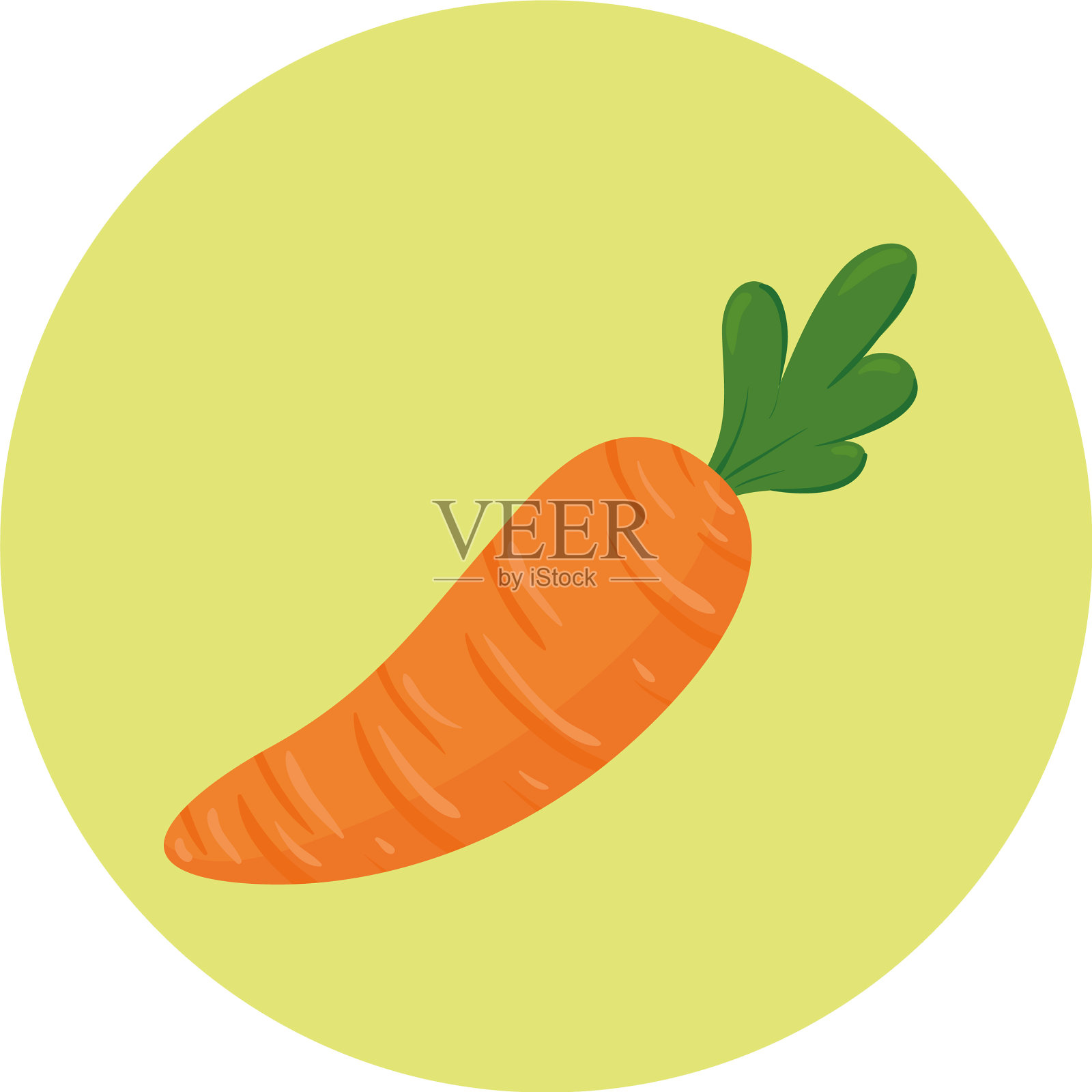新鲜胡萝卜蔬菜，圆框，白色设计元素图片