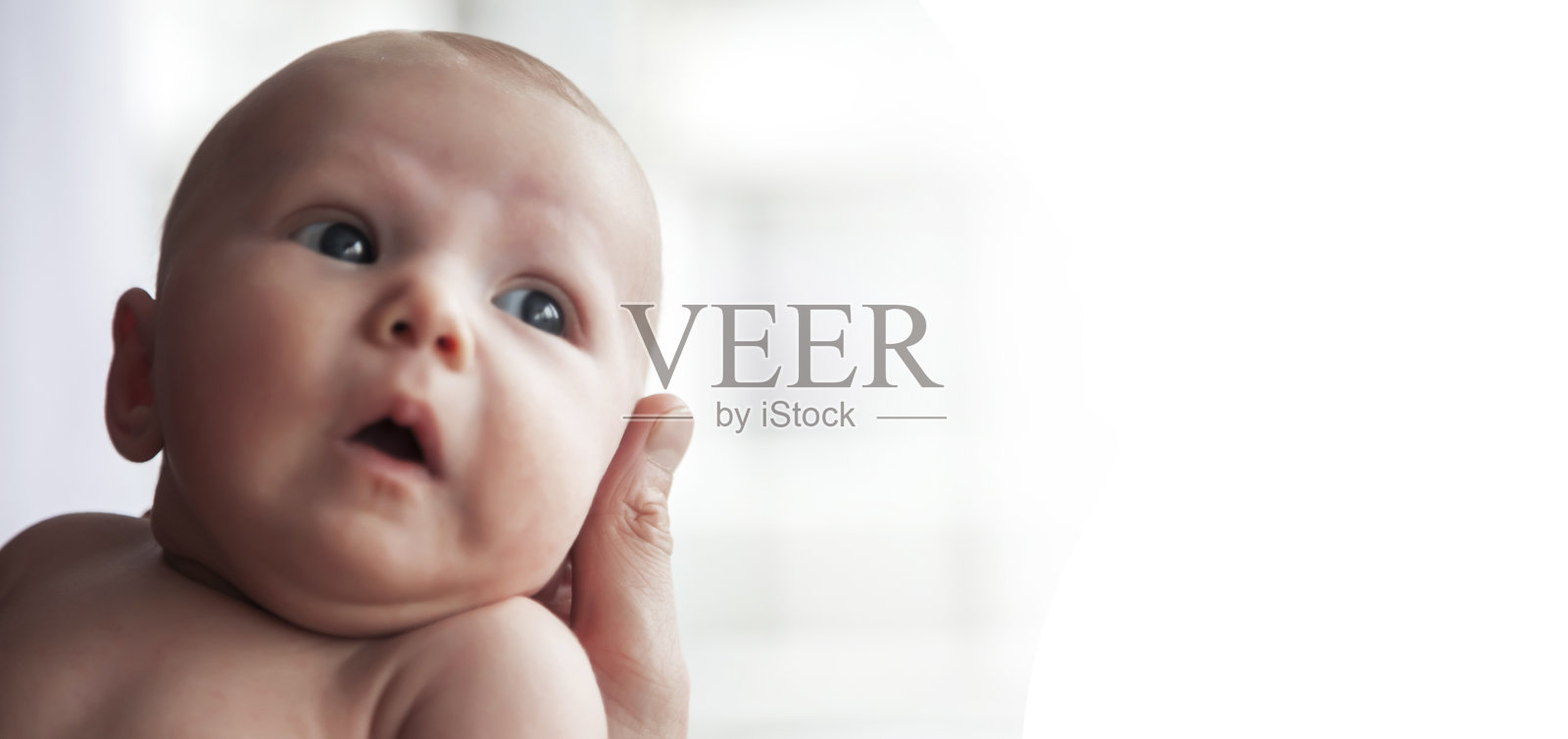 新生儿头部在父亲手中的特写照片摄影图片