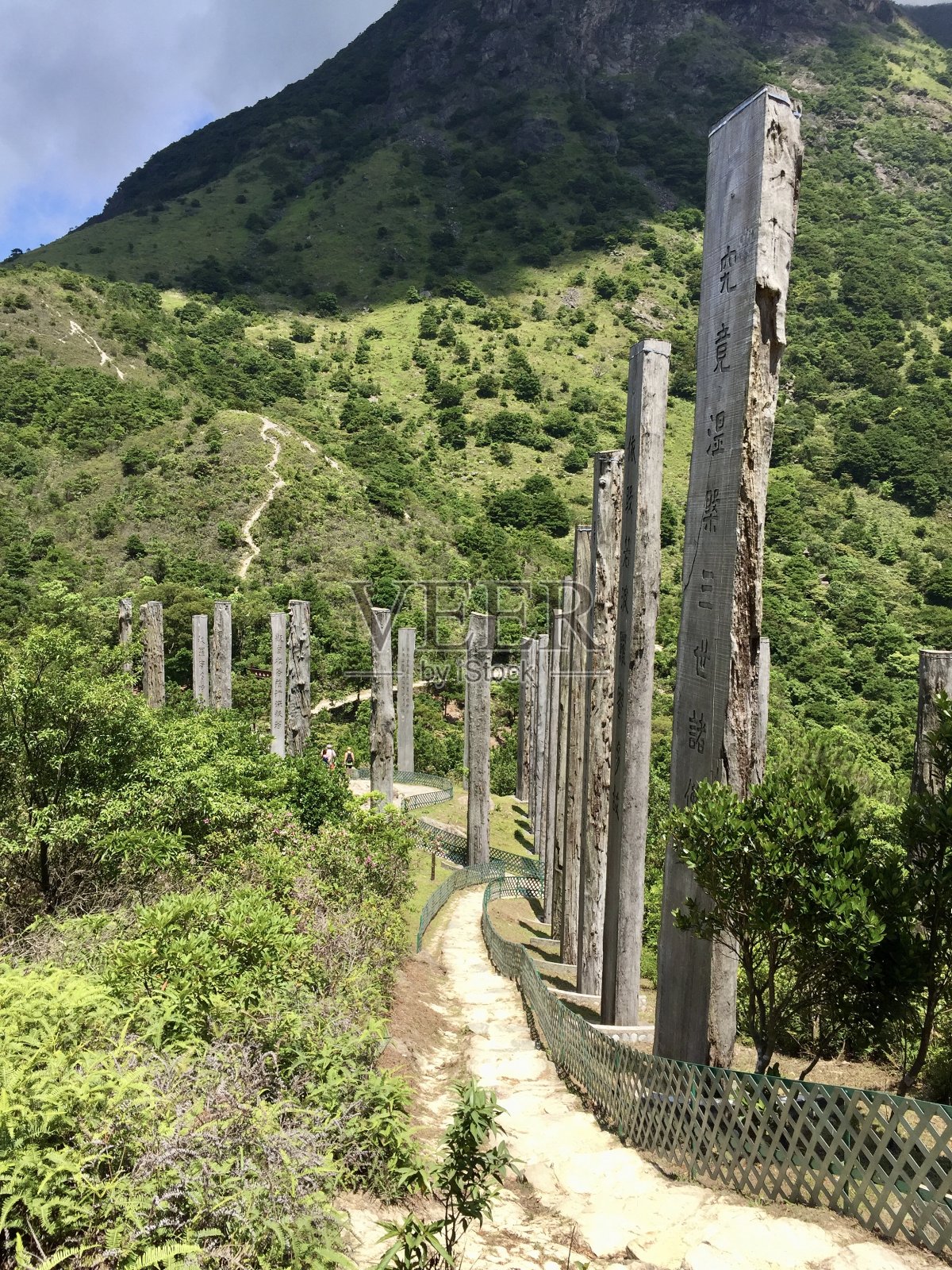 天坛大佛是一尊大型释迦牟尼铜像，于1993年落成，位于香港大屿山昂坪。照片摄影图片