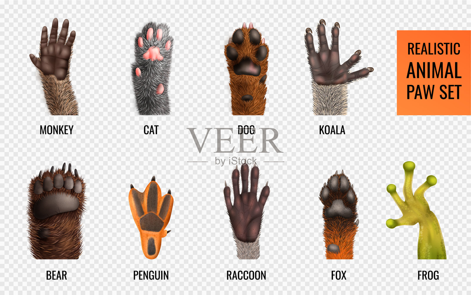 动物爪组图标素材