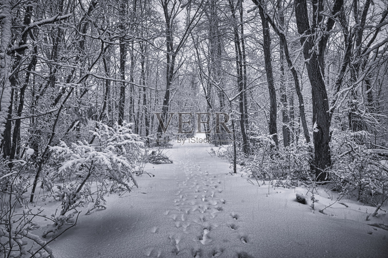 雪道路照片摄影图片